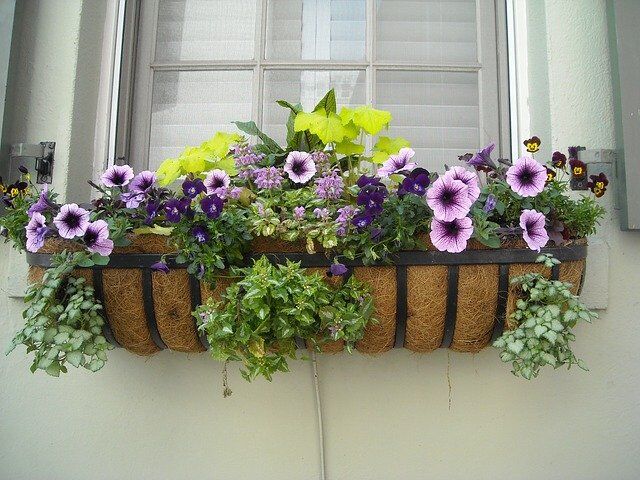Useful Solutions to Keep Your House Pest-Free This Summer